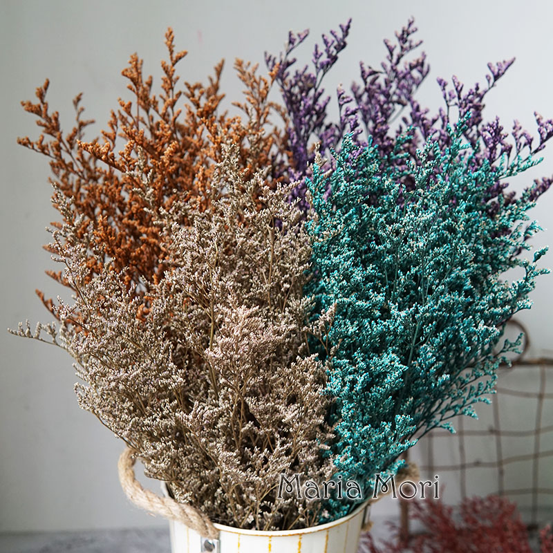 Eucalyptus Preserved - 50g/Konserviertes Valentinstag-Gras Limonium-Blume Liebesgras für Floristik-Zubehör