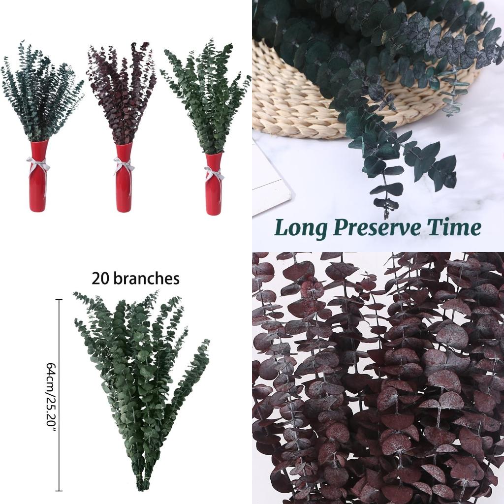 Eucalyptus Preserved - 20 Stück konserviert für frische Eukalyptuszweige,