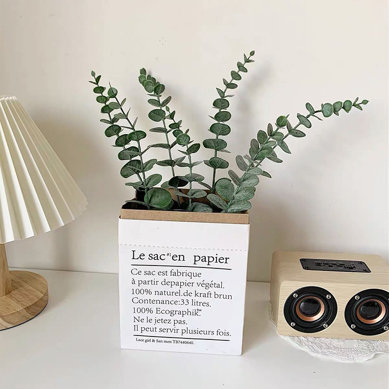 20 Stück künstliche Eukalyptus – Eucalyptus Preserved Bewertung und Preis