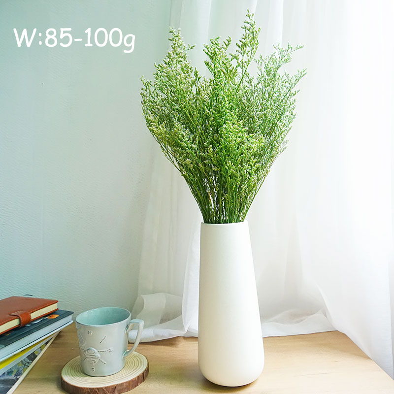 50g/Konserviertes Valentinstag – Eucalyptus Preserved Bewertung und Preis