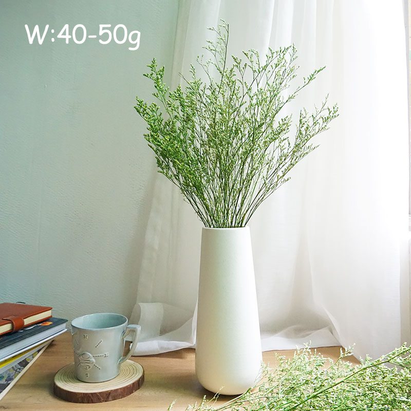 50g/Konserviertes Valentinstag – Eucalyptus Preserved Bewertung und Preis