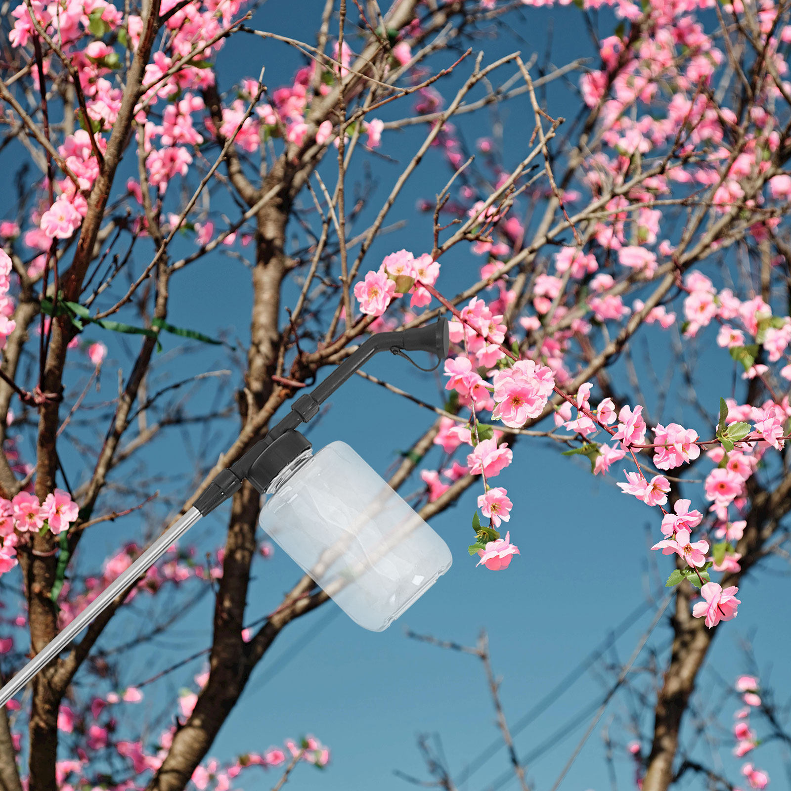 Manueller Bestäubungsstab, tra – Flower Supplies Bewertung und Preis