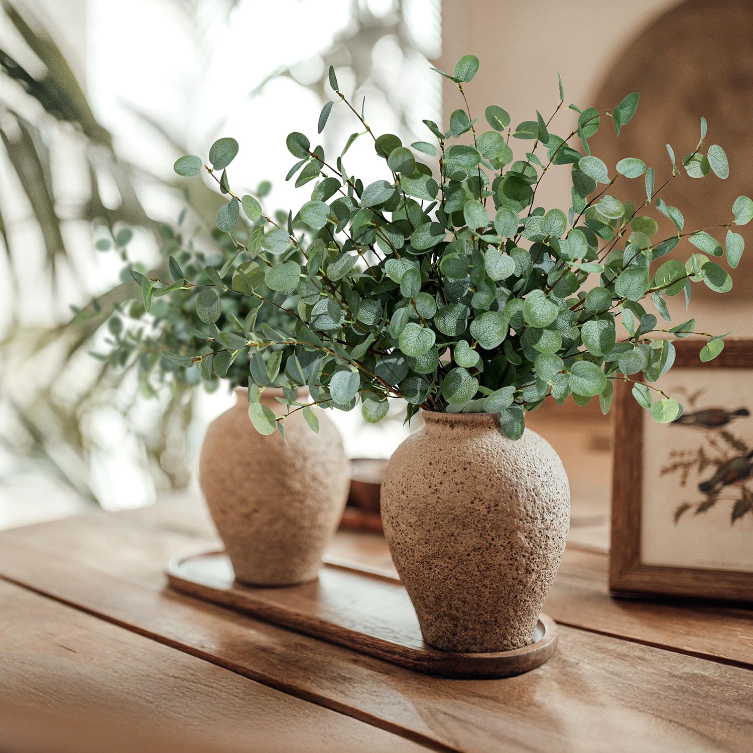 Künstliche Eukalyptus-Stiele,  – Eucalyptus Preserved Bewertung und Preis