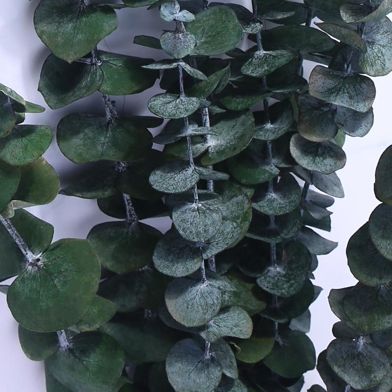 20 Stück konserviert für frisc – Eucalyptus Preserved Bewertung und Preis