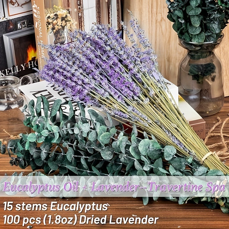 Konservierter Lavendel- und Eu – Eucalyptus Preserved Bewertung und Preis